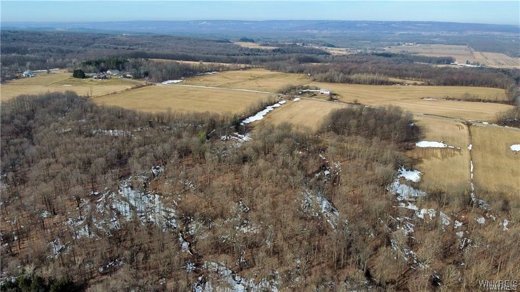 VL Kellogg Hill Road, Leon, New York image 14