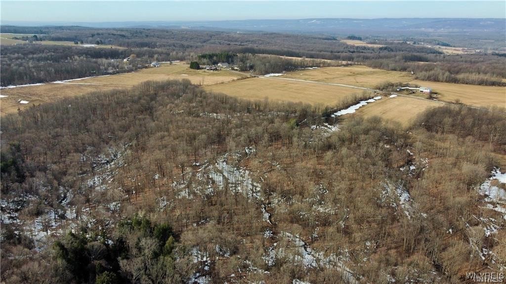 VL Kellogg Hill Road, Leon, New York image 18