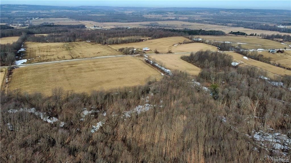 VL Kellogg Hill Road, Leon, New York image 15