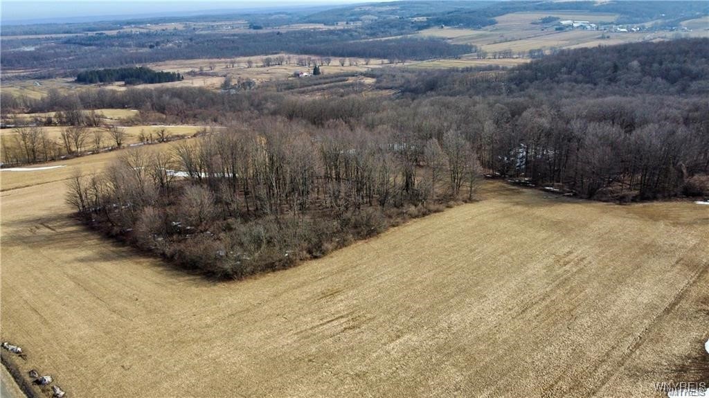 VL Kellogg Hill Road, Leon, New York image 2
