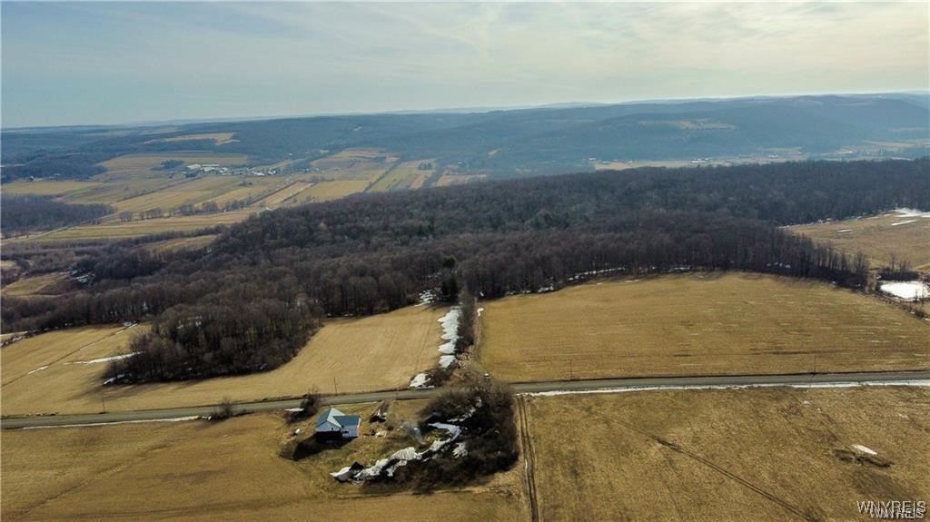VL Kellogg Hill Road, Leon, New York image 23