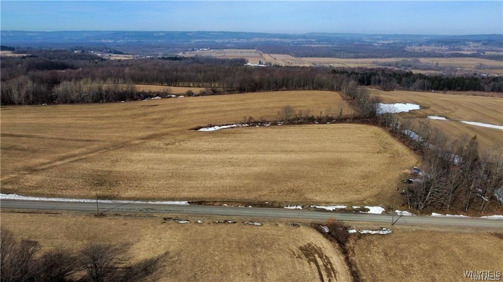VL Kellogg Hill Road, Leon, New York image 7