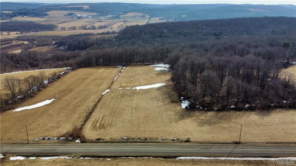 VL Kellogg Hill Road, Leon, New York image 9