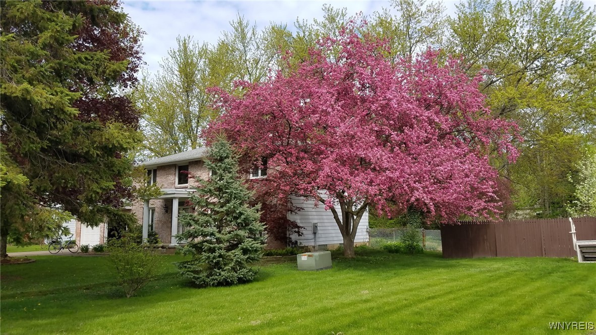 3495 Calvano Drive, Grand Island, New York image 46