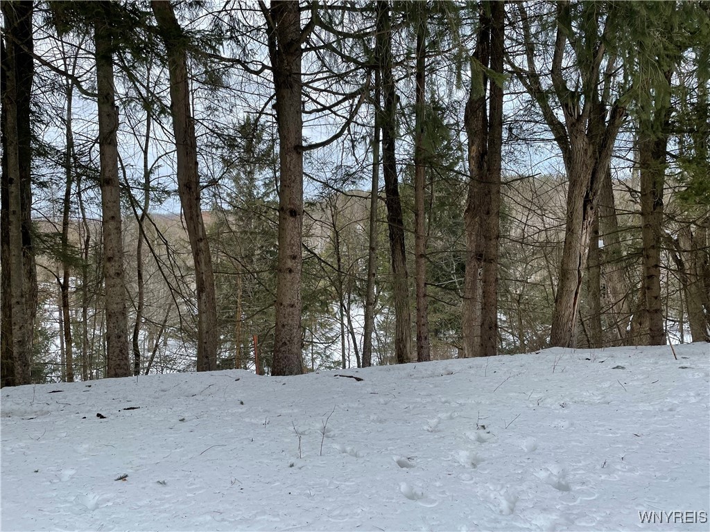 9431 Savage Road, Holland, New York image 6