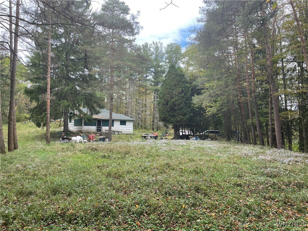 9431 Savage Road, Holland, New York image 2