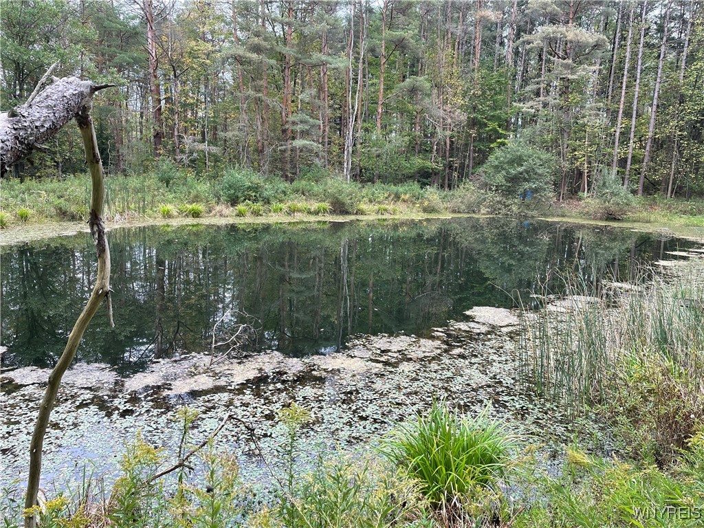 9431 Savage Road, Holland, New York image 16