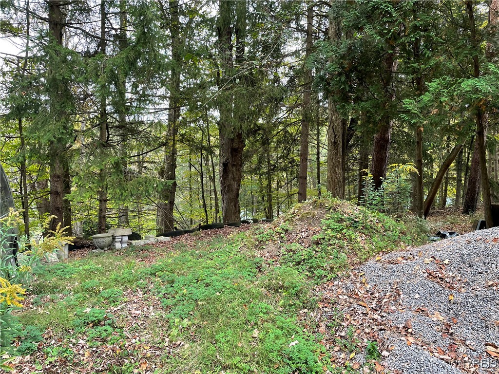 9431 Savage Road, Holland, New York image 14