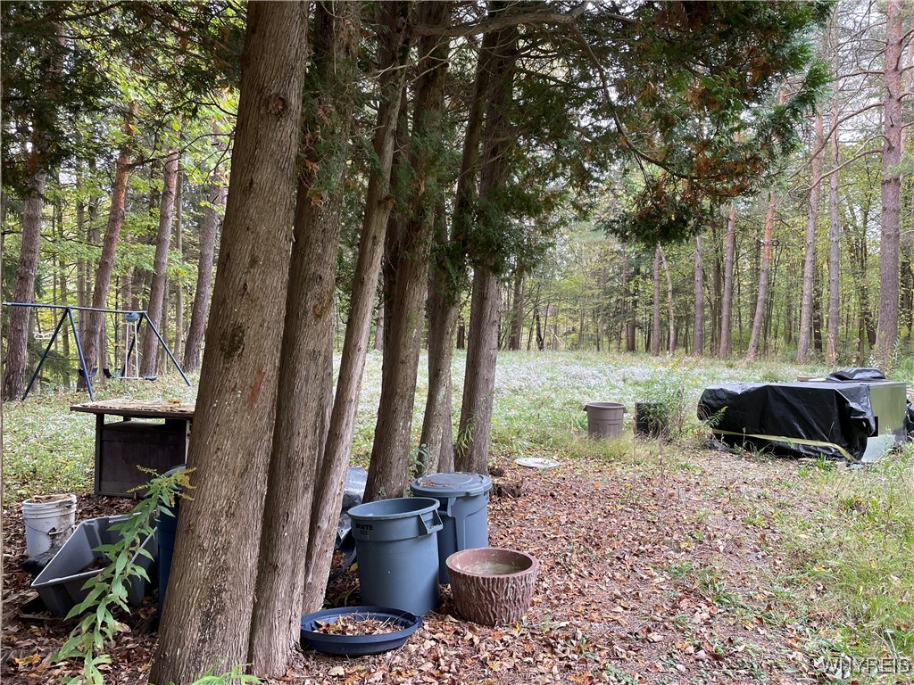 9431 Savage Road, Holland, New York image 12