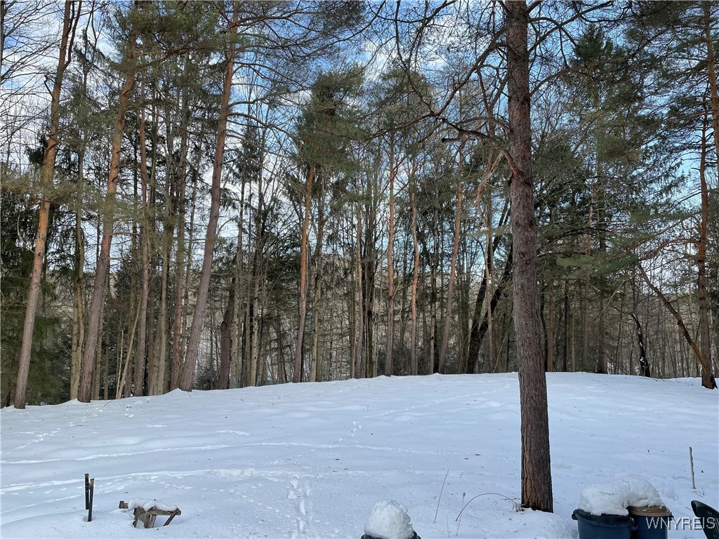 9431 Savage Road, Holland, New York image 4