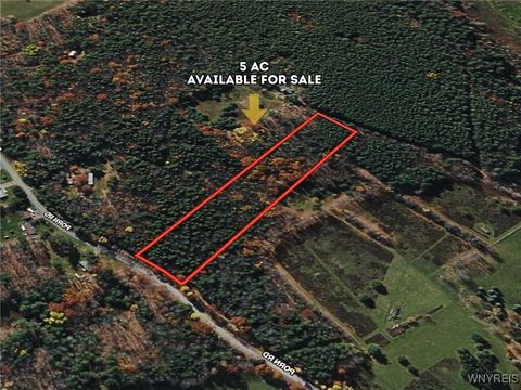 Vacant Land For Sale - 00 Bruce Porn Road<br/> Gilboa, NY 12167