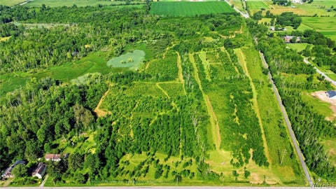 Tiny photo for 00 Barnum Rd Lot #2, Newstead, NY 14001 (MLS # B1705394)