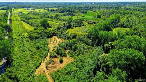 Tiny photo for 00 Barnum Rd Lot #2, Newstead, NY 14001 (MLS # B1705394)