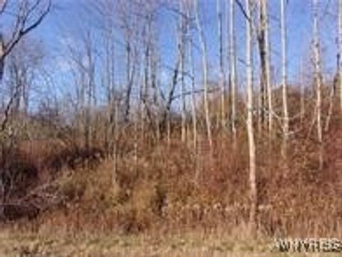 Photo of 5338 Bryant Hill Road, Ellicottville, NY 14731 (MLS # B1660676)