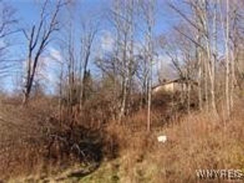 Tiny photo for 5338 Bryant Hill Road, Ellicottville, NY 14731 (MLS # B1660676)