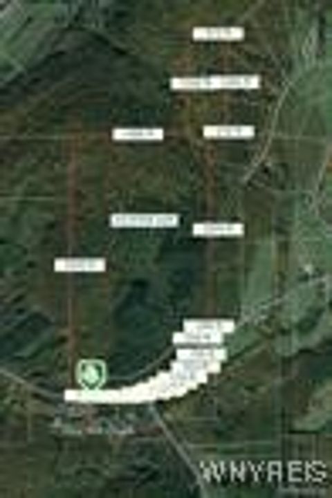 Tiny photo for 5338 Bryant Hill Road, Ellicottville, NY 14731 (MLS # B1660676)