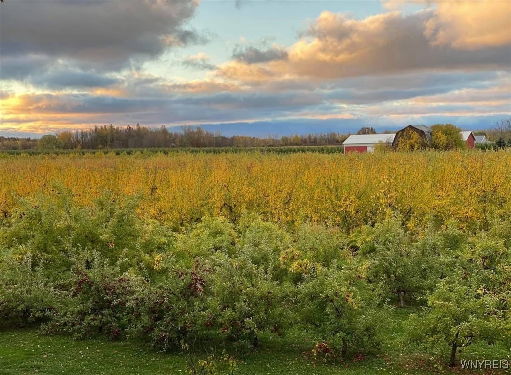 2869 Randall Road, Wilson, New York image 31