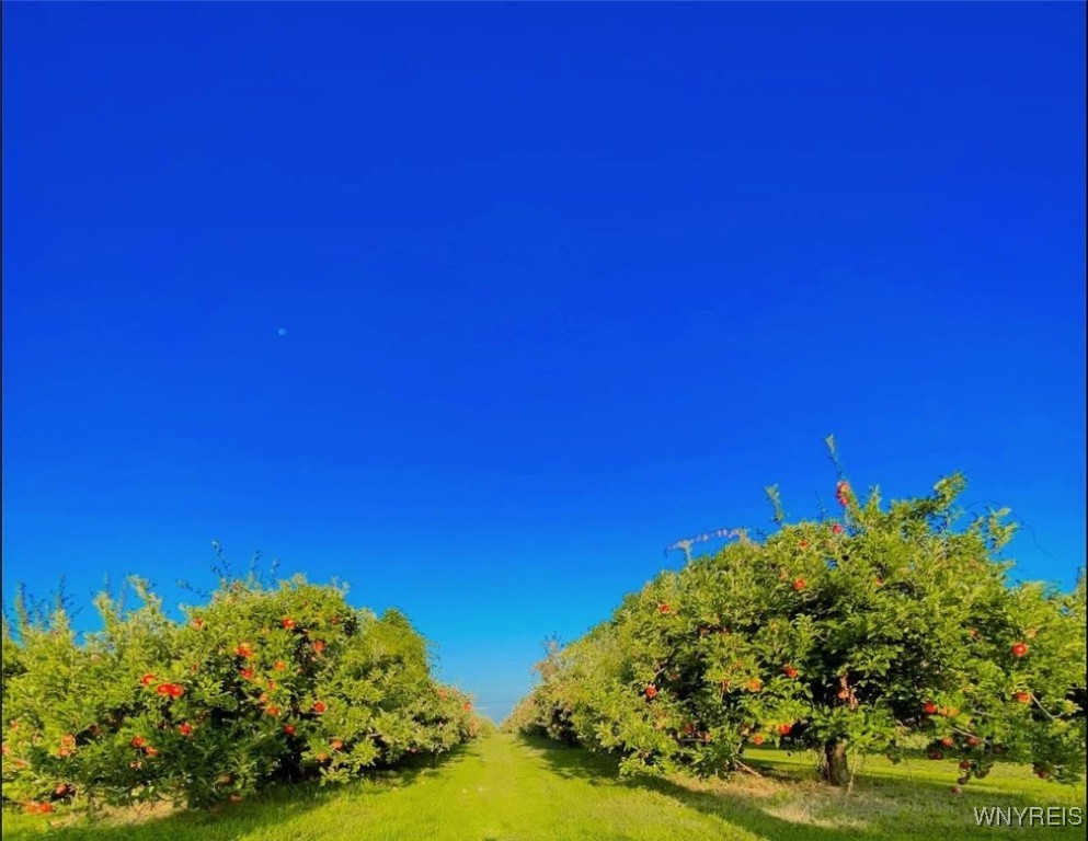 2869 Randall Road, Wilson, New York image 32