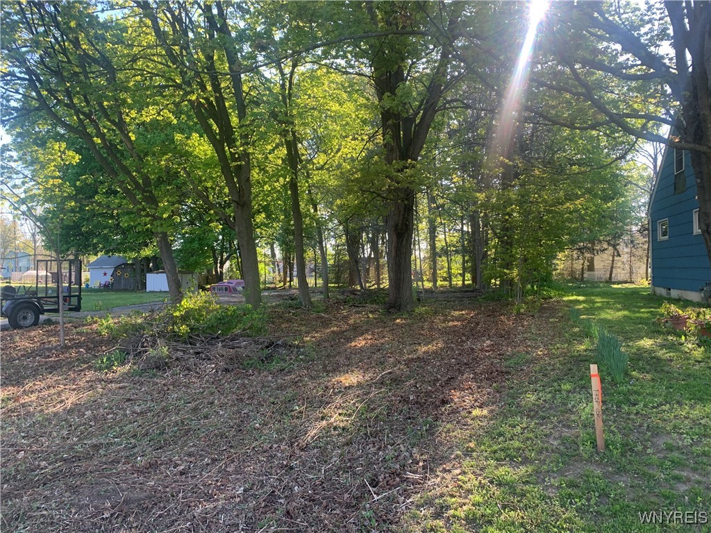 1214 Mayfield Drive, Alden, New York image 4