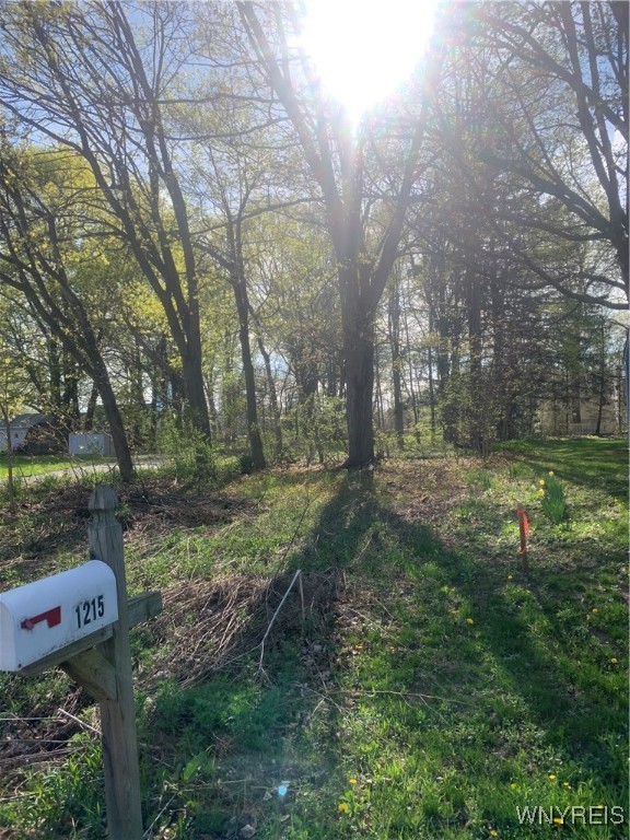 1214 Mayfield Drive, Alden, New York image 3
