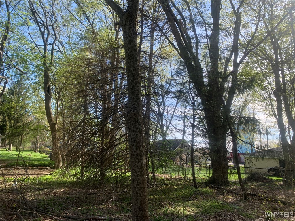 1214 Mayfield Drive, Alden, New York image 7