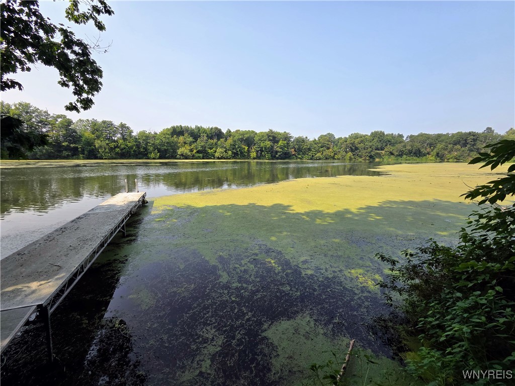 Carlton, New York 14411, United States, 1 Bedroom Bedrooms, ,1 BathroomBathrooms,Residential,Active,188626