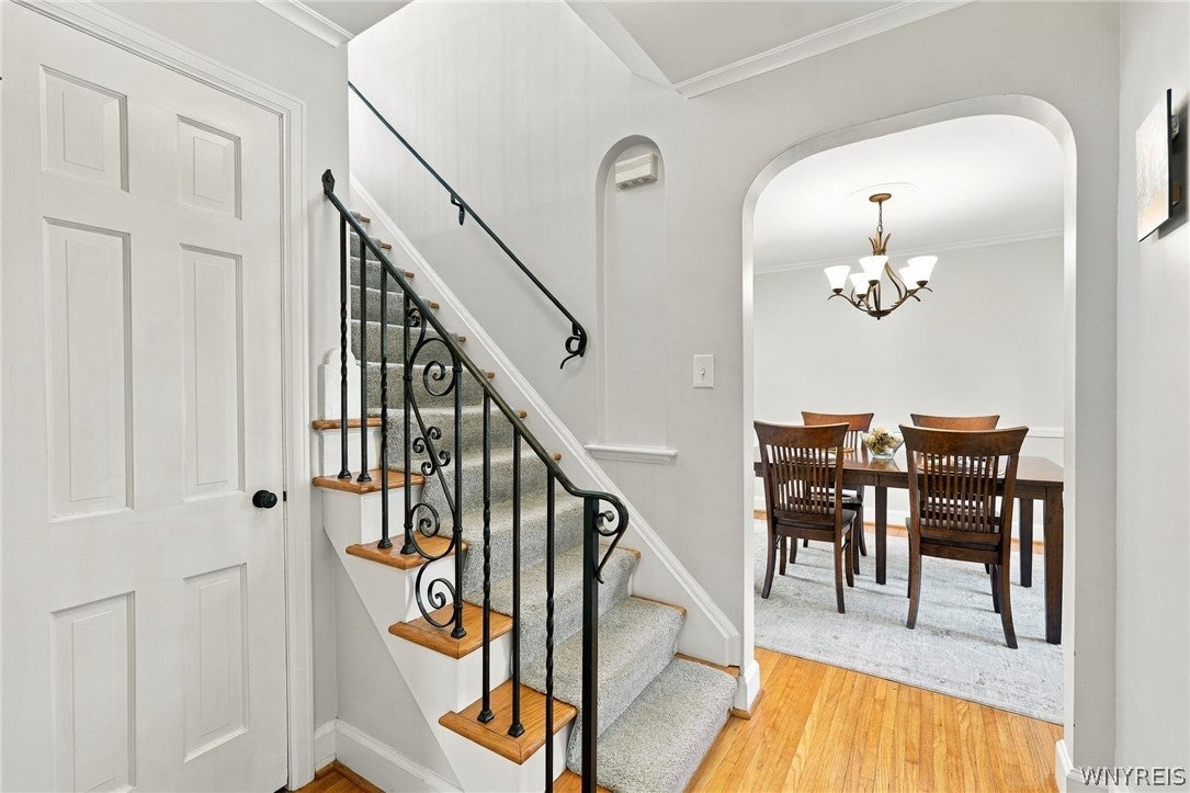 101 Hyledge Drive