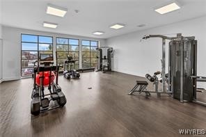 1111 Elmwood Avenue #302, Buffalo, New York image 34