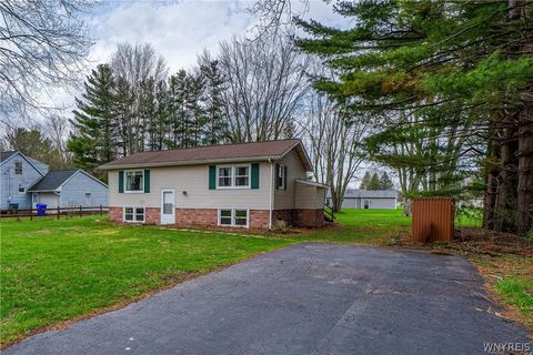 Homes For Sale - 2526 Merritt Avenue<br/> Niagara County, Newfane, NY 14108