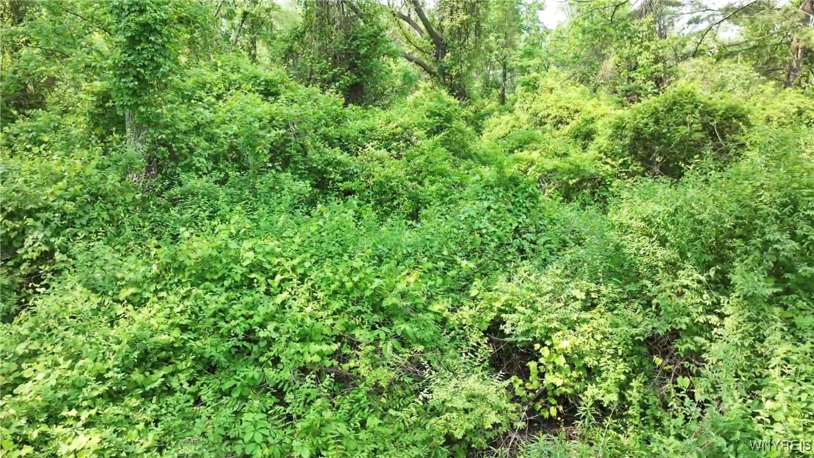 0 Drew Road