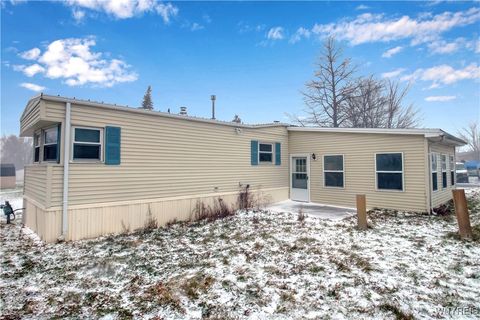 Tiny photo for 41 S Roxbury Drive, Hamburg, NY 14075 (MLS # B1655505)