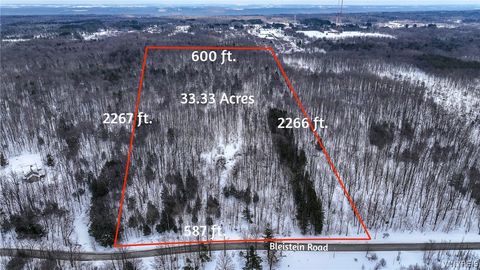 Vacant Land For Sale - Bleistein Road<br/> Colden, NY 14033