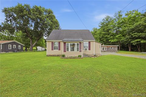 Homes For Sale - 12081 Gowanda State Road<br/> Erie County, North Collins, NY 14111