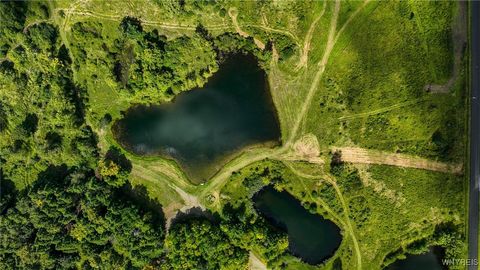 Vacant Land For Sale - LOT #4 Phillips Road Pl<br/> Colden, NY 14080