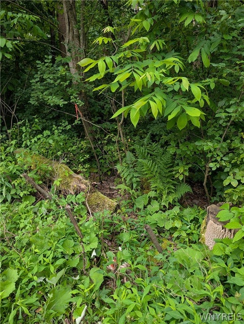 Tiny photo for 5499 Bryant Hill Road, Ellicottville, NY 14731 (MLS # B1689739)