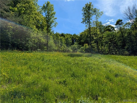 Tiny photo for 5499 Bryant Hill Road, Ellicottville, NY 14731 (MLS # B1689739)