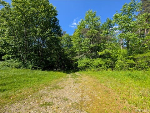 Tiny photo for 5499 Bryant Hill Road, Ellicottville, NY 14731 (MLS # B1689739)