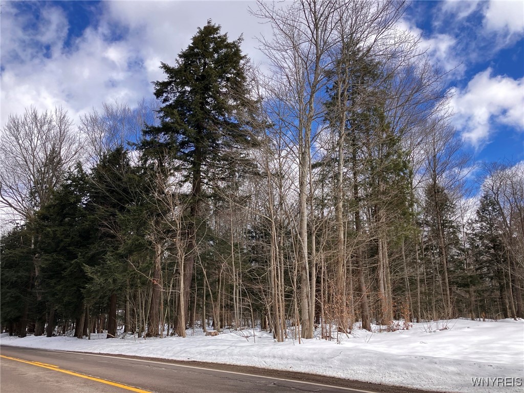 Zimmerman Road, Boston, New York image 2