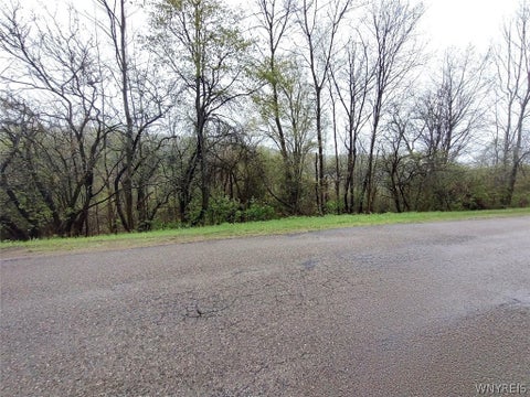 Vacant Land For Sale - Bozard Hill Road<br/> Humphrey, NY 14741