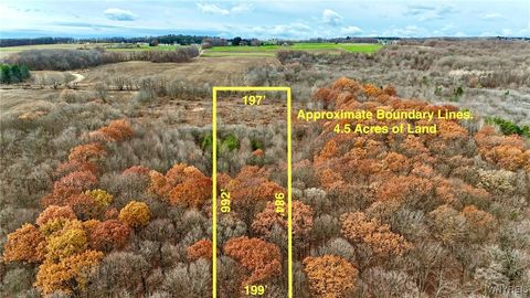 Vacant Land For Sale - Wyoming Street<br/> Warsaw, NY 14569