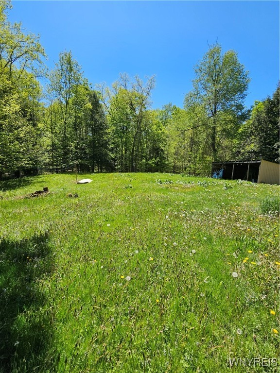 2711 Lenox Road, Collins, New York image 27