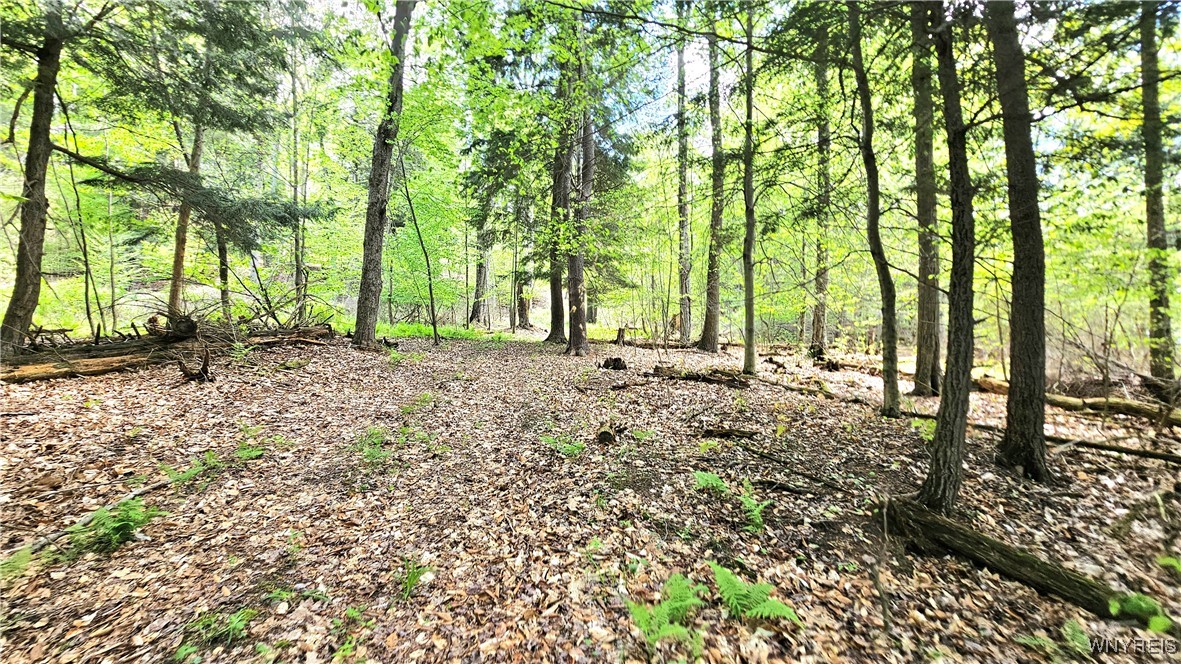 6229 Lilly Road, Belfast, New York image 42