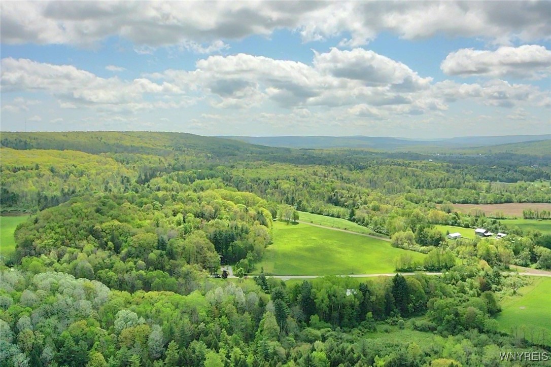 6229 Lilly Road, Belfast, New York image 4