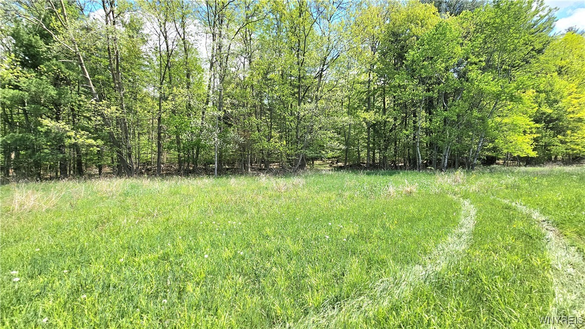 6229 Lilly Road, Belfast, New York image 41