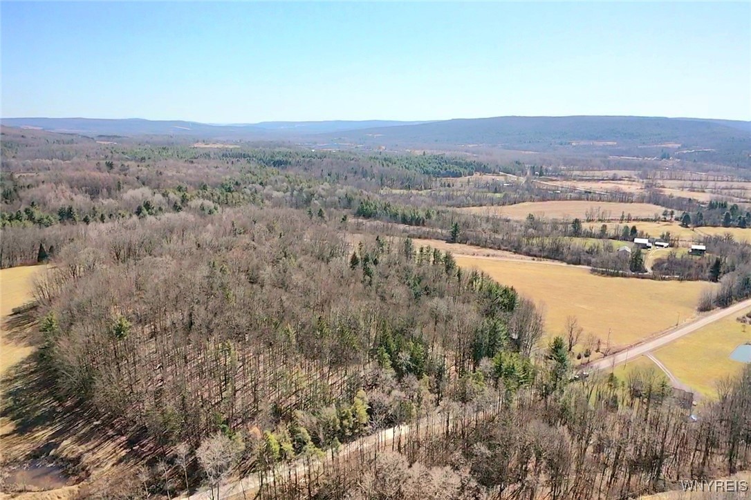 6229 Lilly Road, Belfast, New York image 6