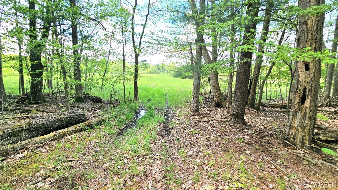 6229 Lilly Road, Belfast, New York image 45