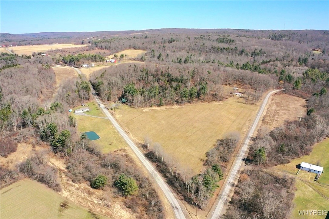 6229 Lilly Road, Belfast, New York image 4