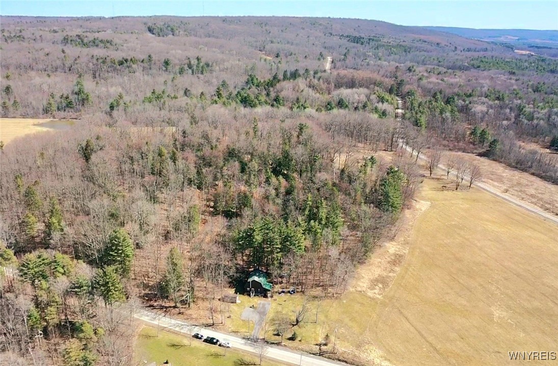 6229 Lilly Road, Belfast, New York image 7
