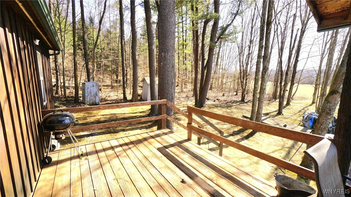 6229 Lilly Road, Belfast, New York image 17