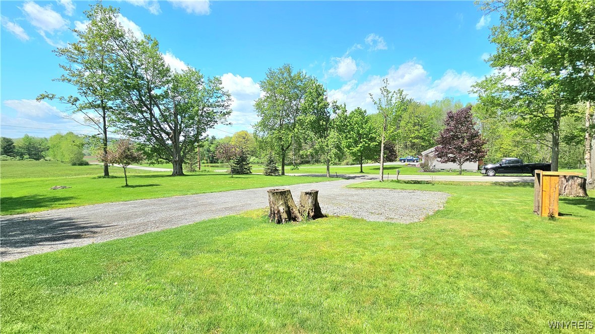 6229 Lilly Road, Belfast, New York image 8